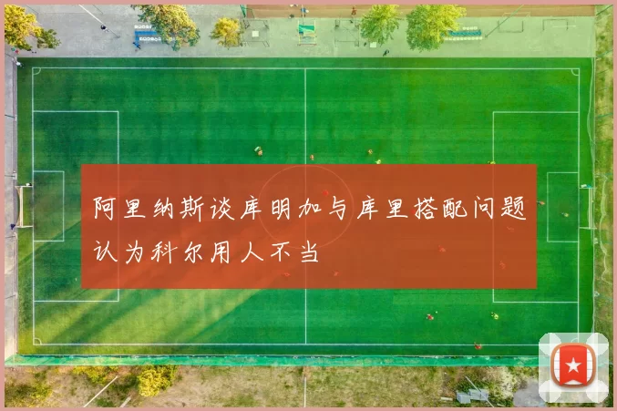 阿里纳斯谈库明加与库里搭配问题认为科尔用人不当