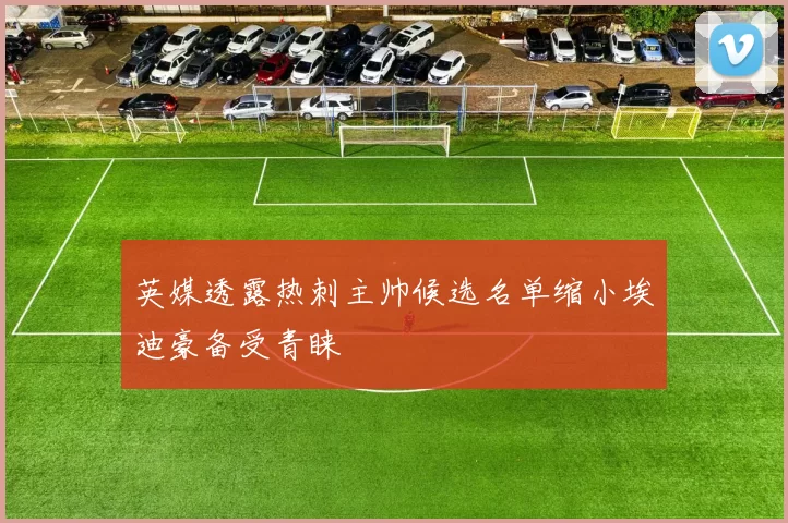 英媒透露热刺主帅候选名单缩小埃迪豪备受青睐